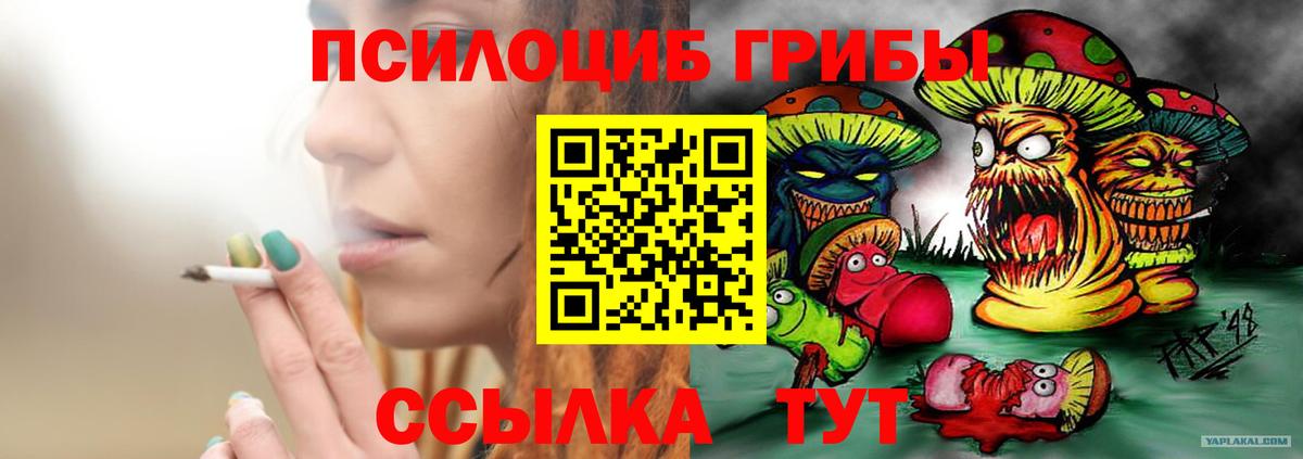Псилоцибиновые грибы мицелий Муром